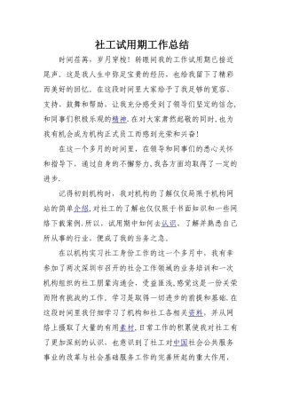 社工试用期工作总结