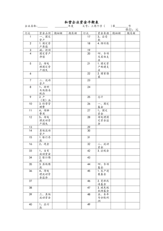 私营企业资金平衡表