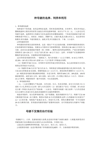 种母猪的饲养管理技术