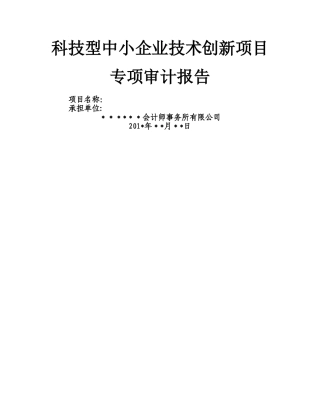 科技型中小企业技术创新项目-审计报告-模板
