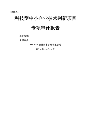 科技型中小企业技术创新项目验收专项审计报告