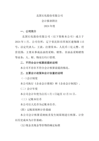 简易会计报表附注