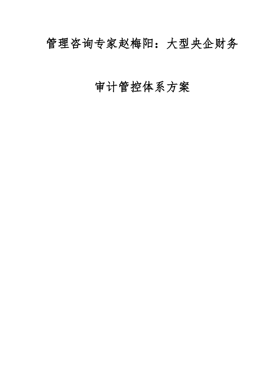 管理咨询专家赵梅阳：大型央企财务审计管控体系方案_第1页