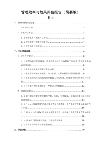管理效率与效果评估报告