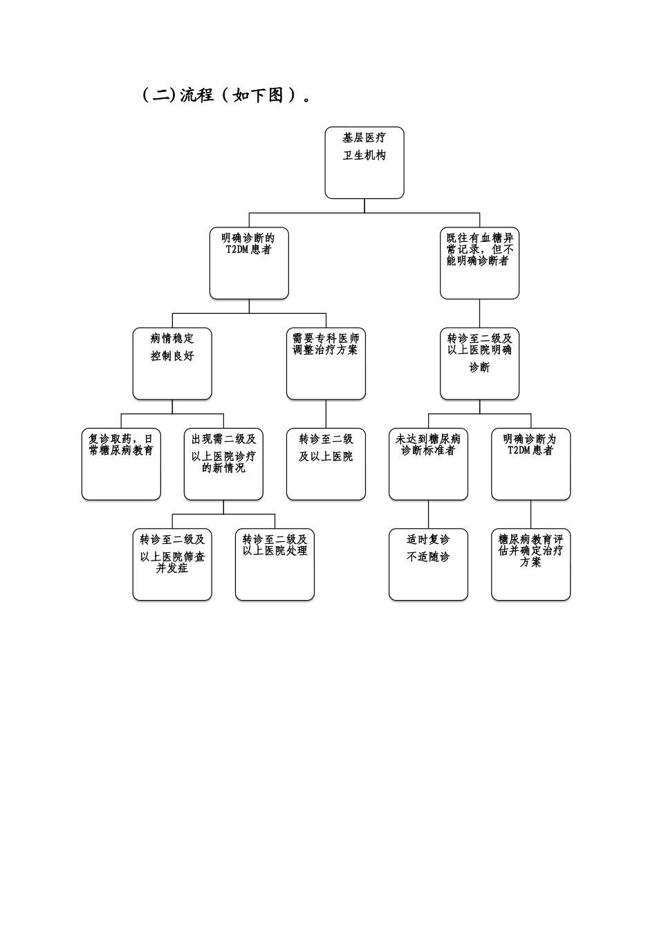 糖尿病分级诊疗服务技术方案_第2页