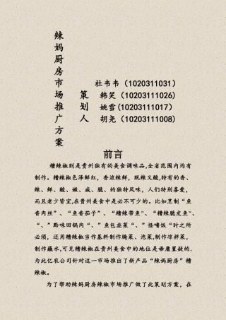 糟辣椒推广方案