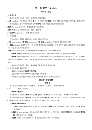 系统解剖学重要知识点+大纲总结