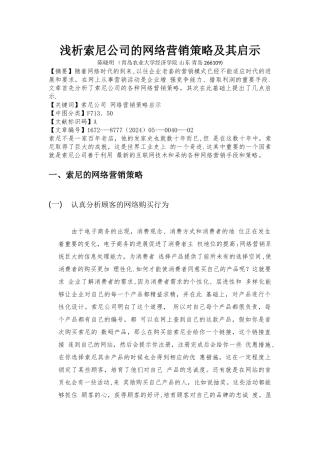 索尼公司网络营销策略