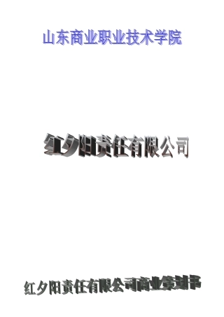 红夕阳有限责任公司创业计划书