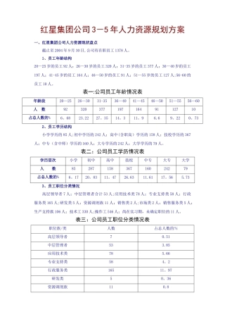红星集团未来3-5年人力资源规划方案