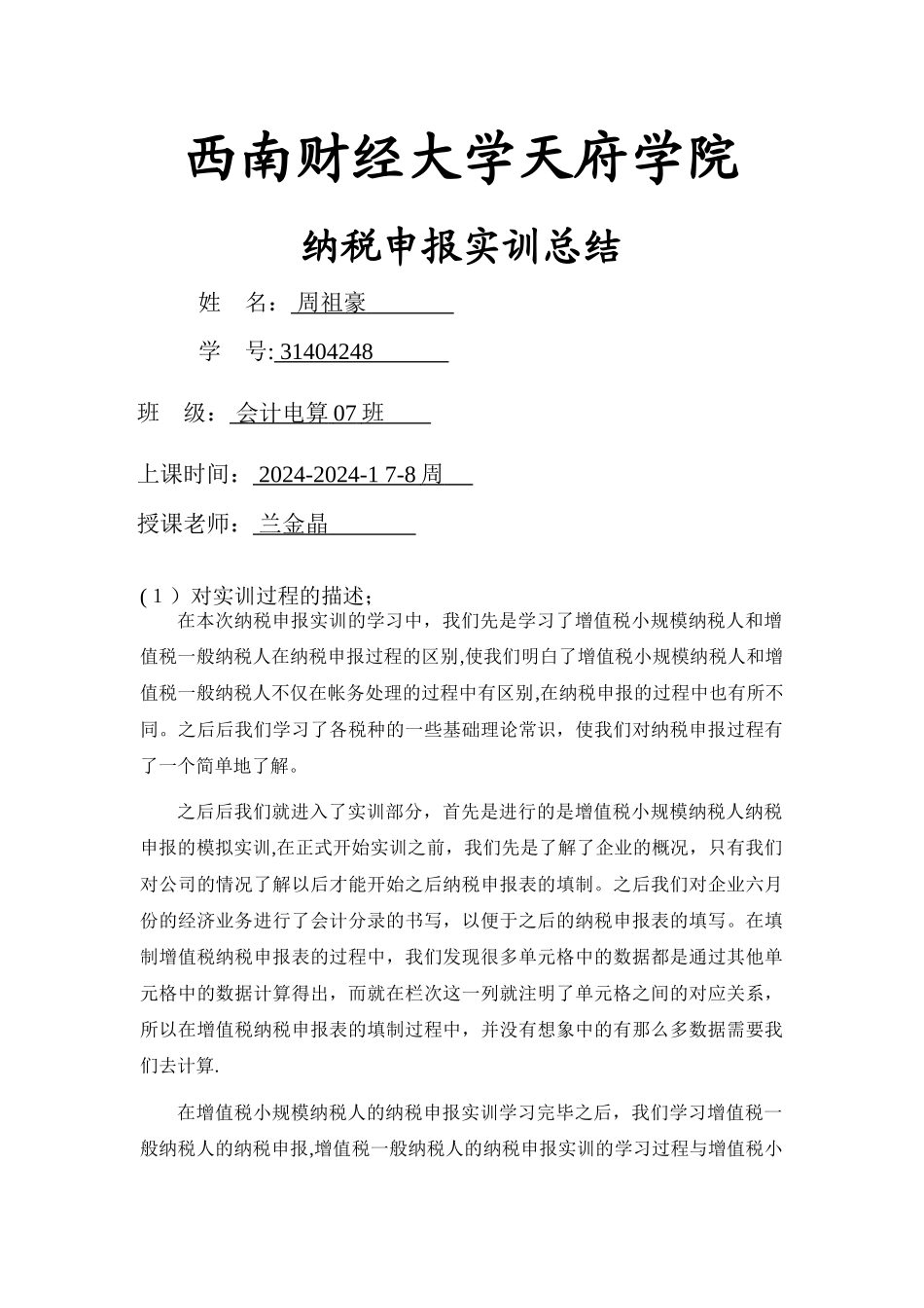 纳税申报实训总结_第1页