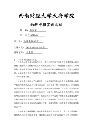 纳税申报实训总结