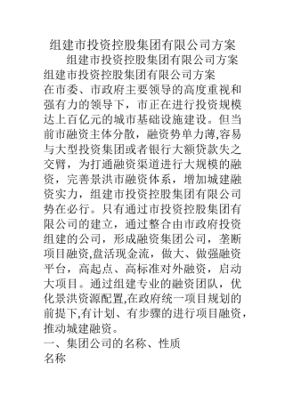 组建市投资控股集团有限公司方案