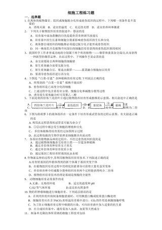 细胞工程练习题(附答案)