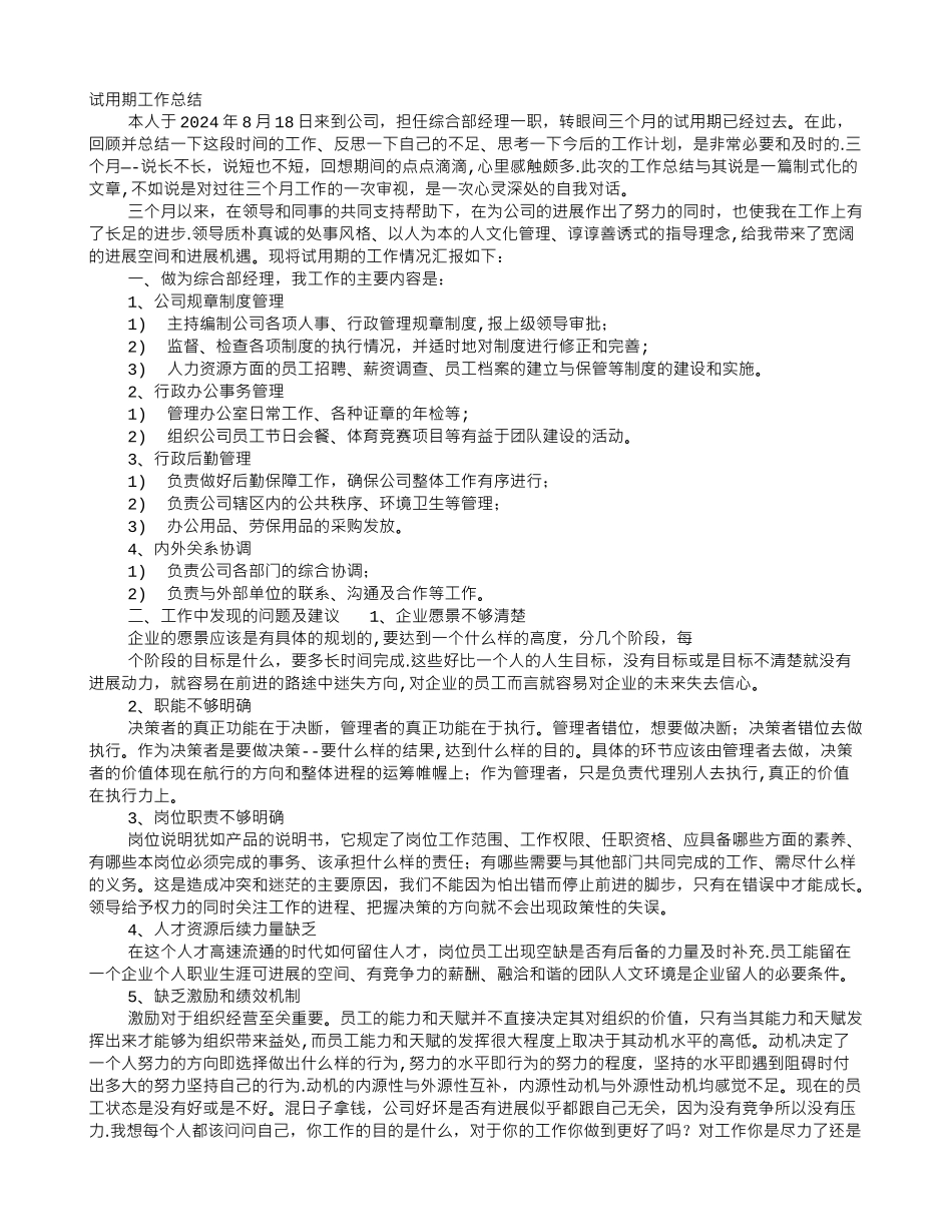 经理转正工作总结_第1页