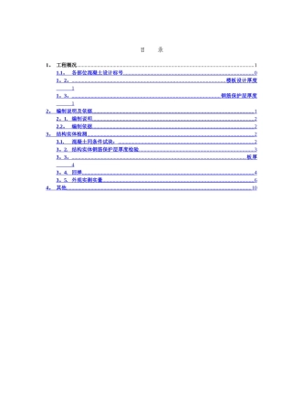 结构实体检测专项施工方案