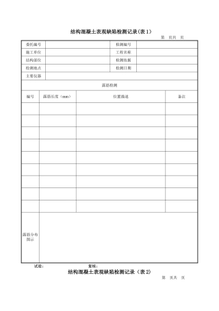 结构混凝土表观缺陷检测记录