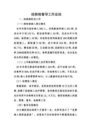 结核病督导工作总结