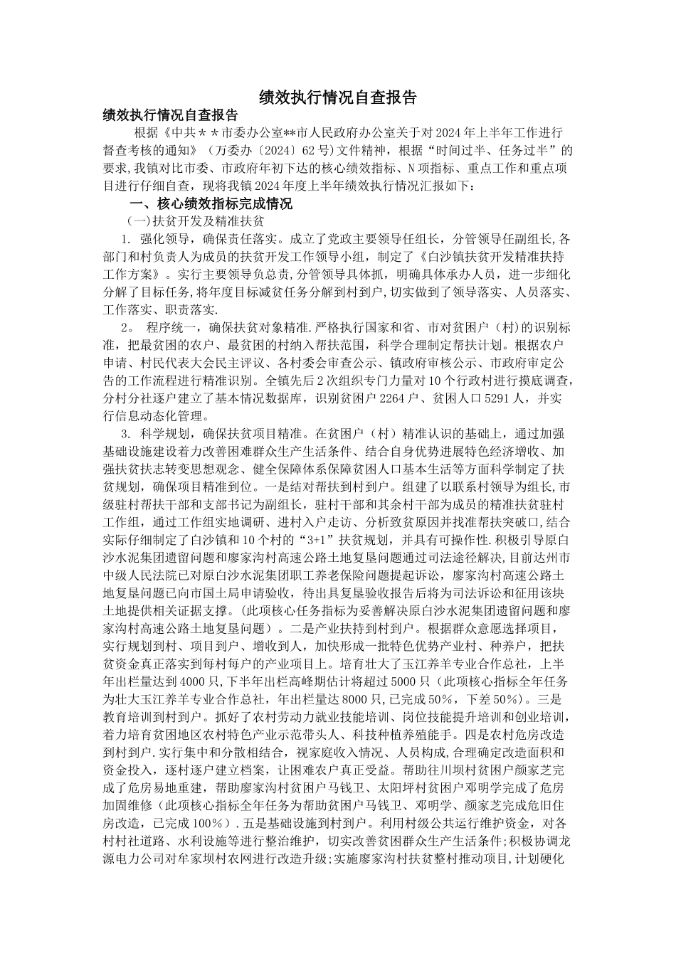 绩效执行情况自查报告_第1页