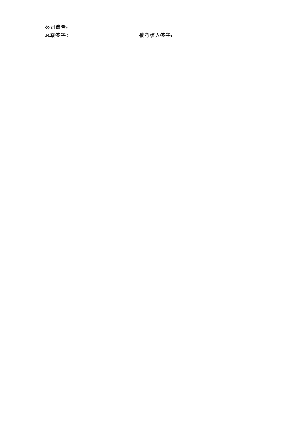 绩效考核方案-销售总监_第3页