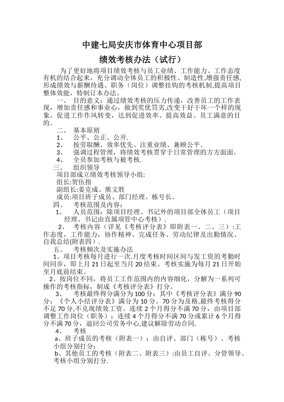 绩效考核试行办法_第1页