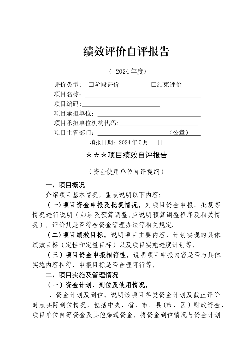 绩效评价自评报告模板_第1页