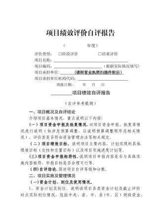 绩效评价自评报告