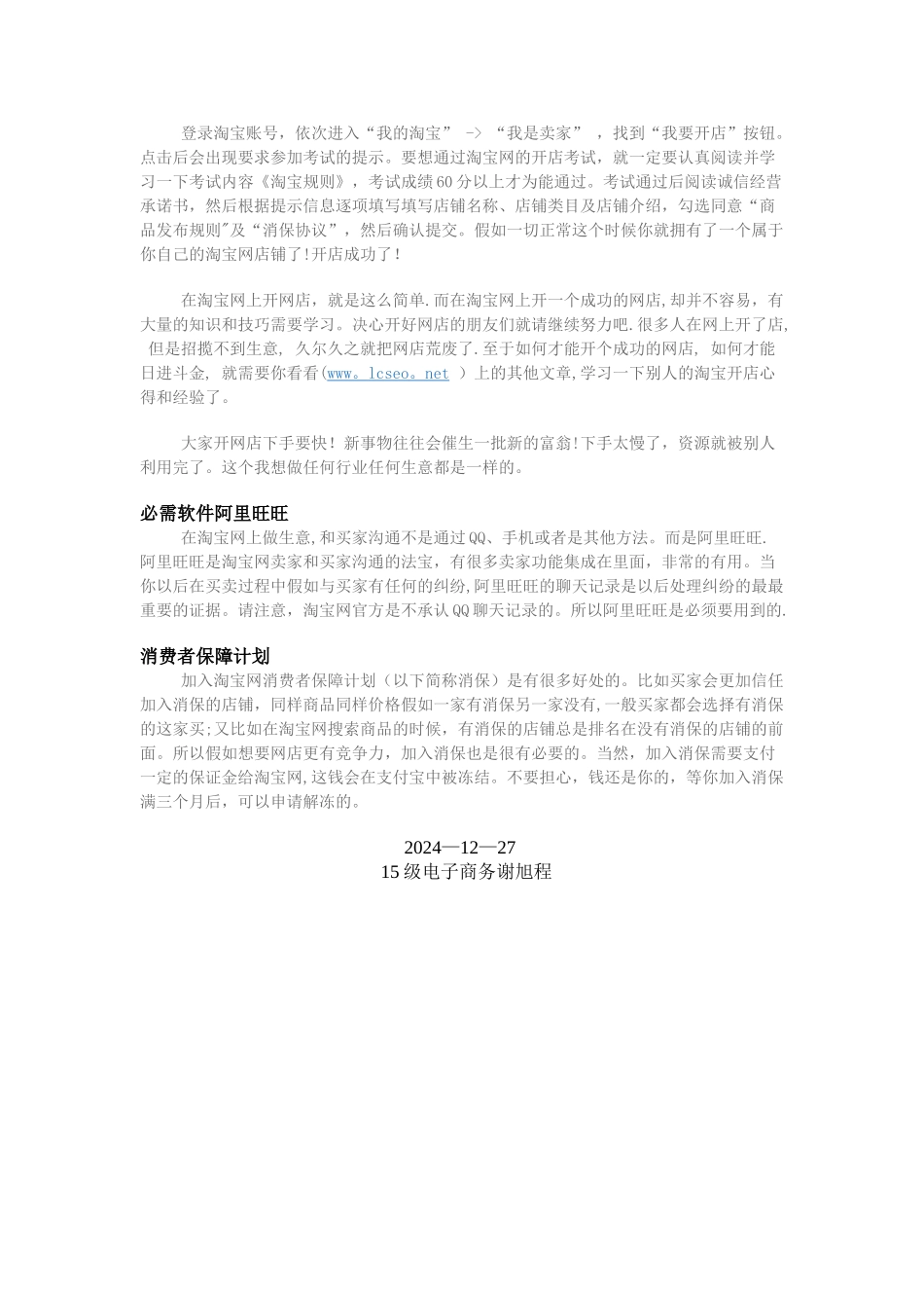 网店运营总结_第3页