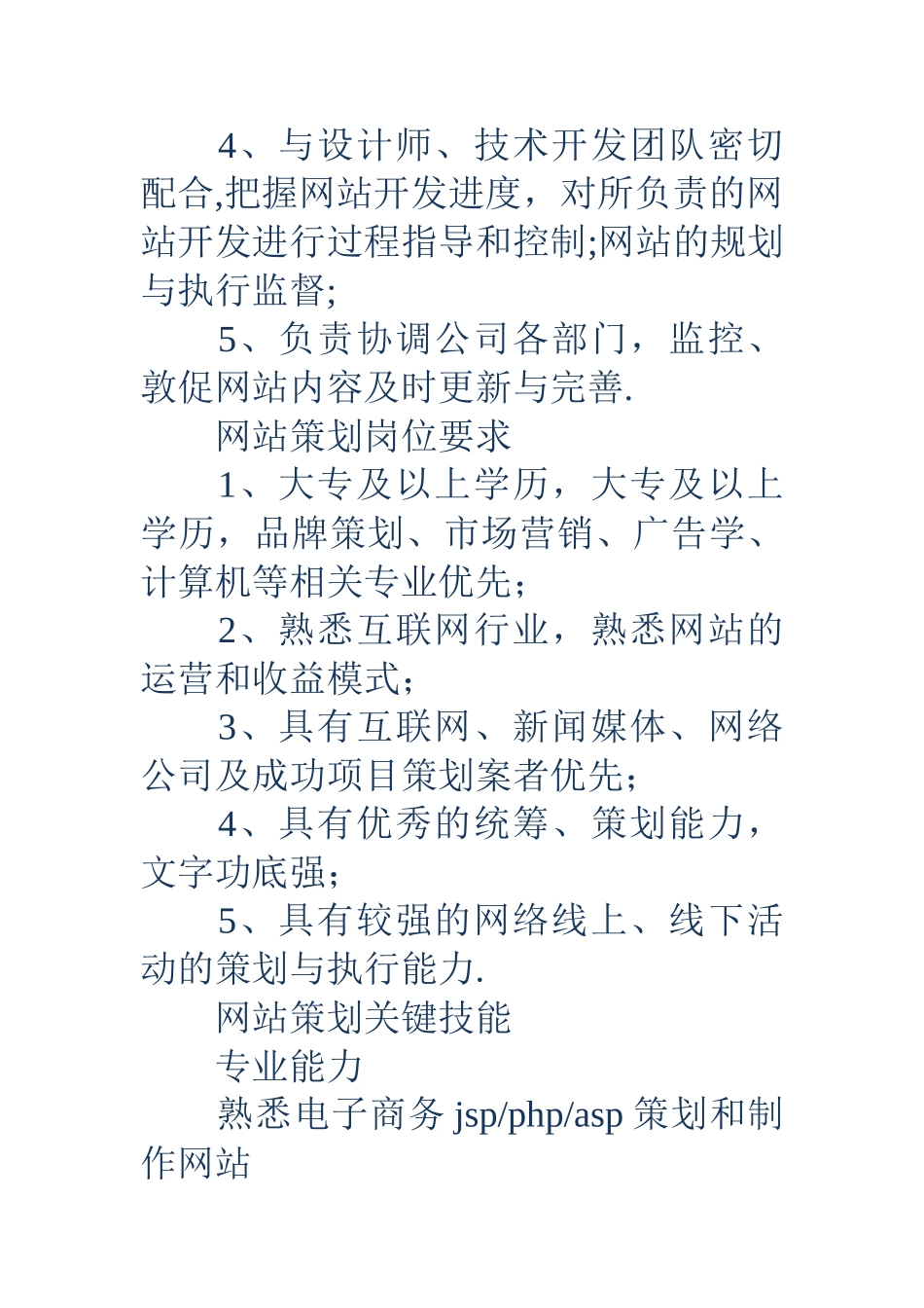 网站策划岗位说明书_第2页