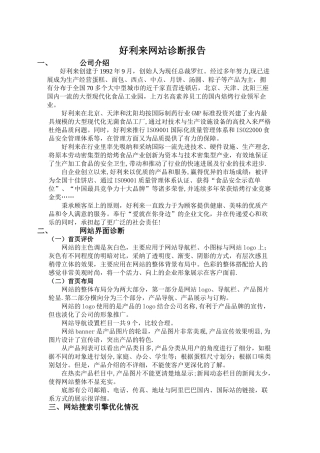 网站诊断报告holiland