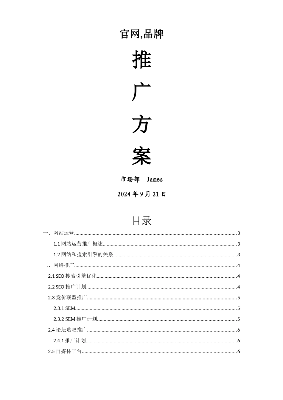 网站运营推广方案_第1页