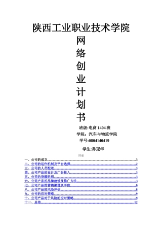 网络创业计划书