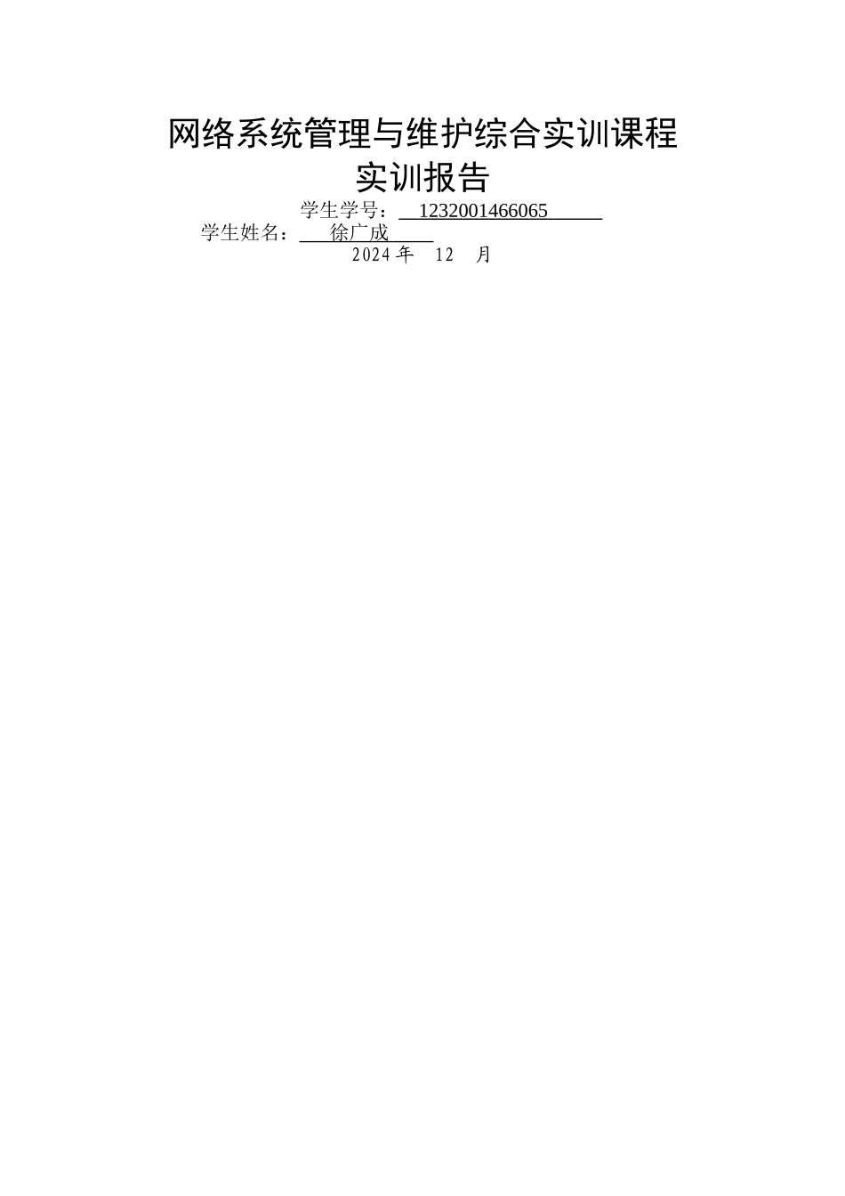 网络系统管理与维护实训报告_第1页