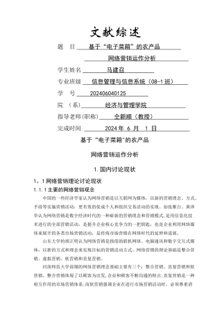 网络营销文献综述