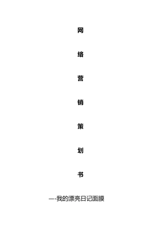 网络营销方案---总