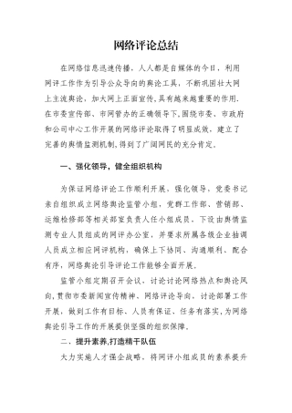 网络评论总结
