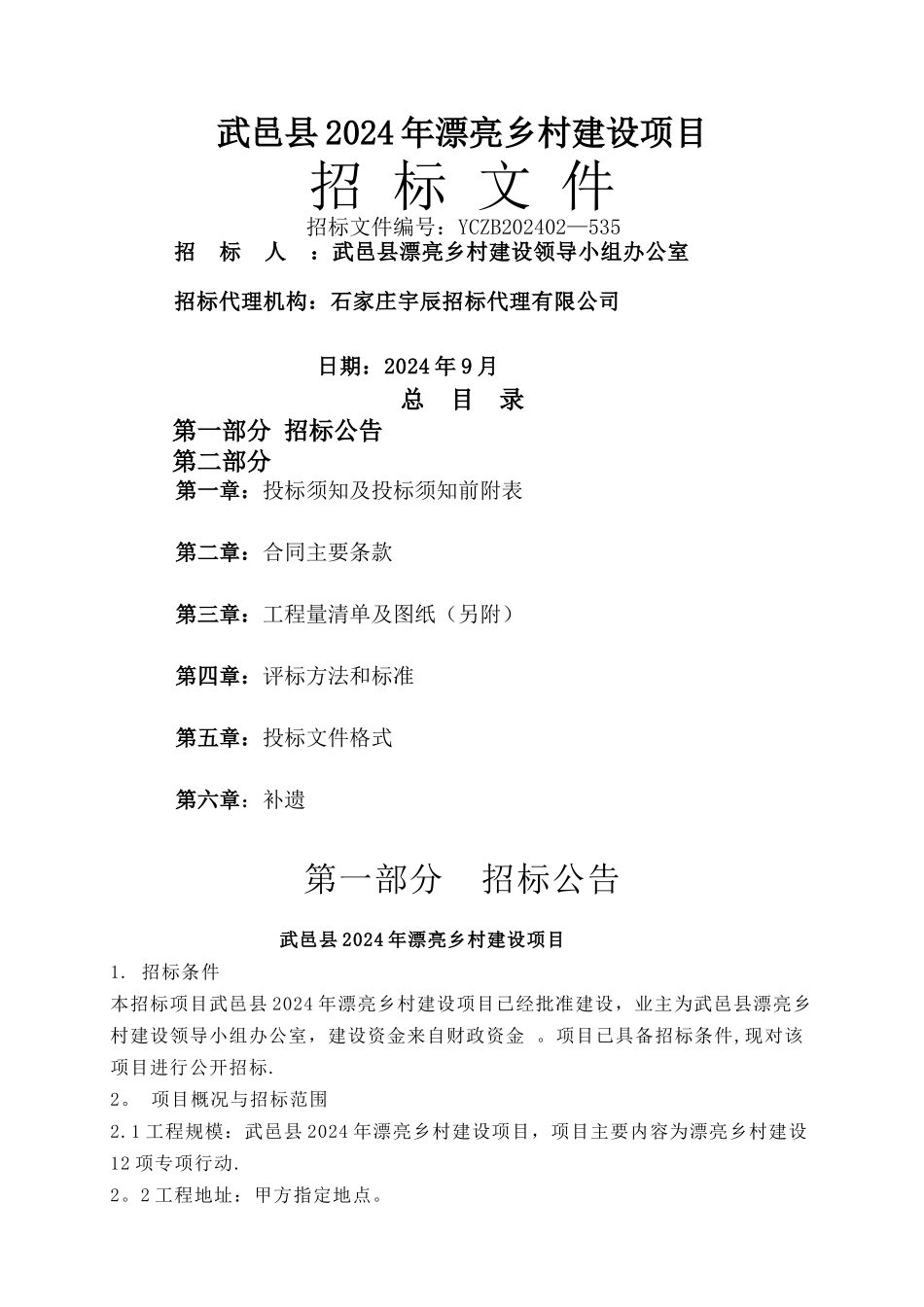 美丽乡村招标文件_第1页