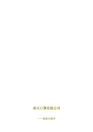美天口罩有限公司创业计划书