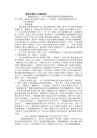 麻城市菊花产业调研报告