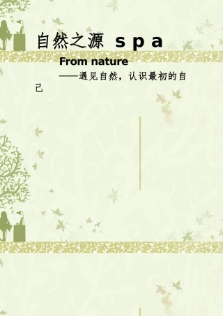 美容院SPA会所价格表设定模版