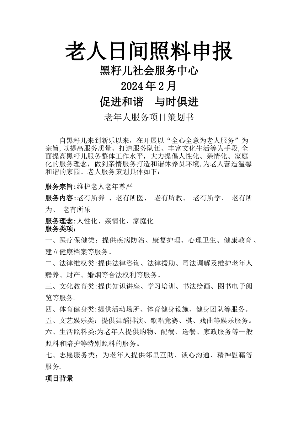 老年服务项目计划书_第1页