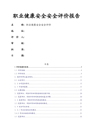 职业健康安全安全评价报告