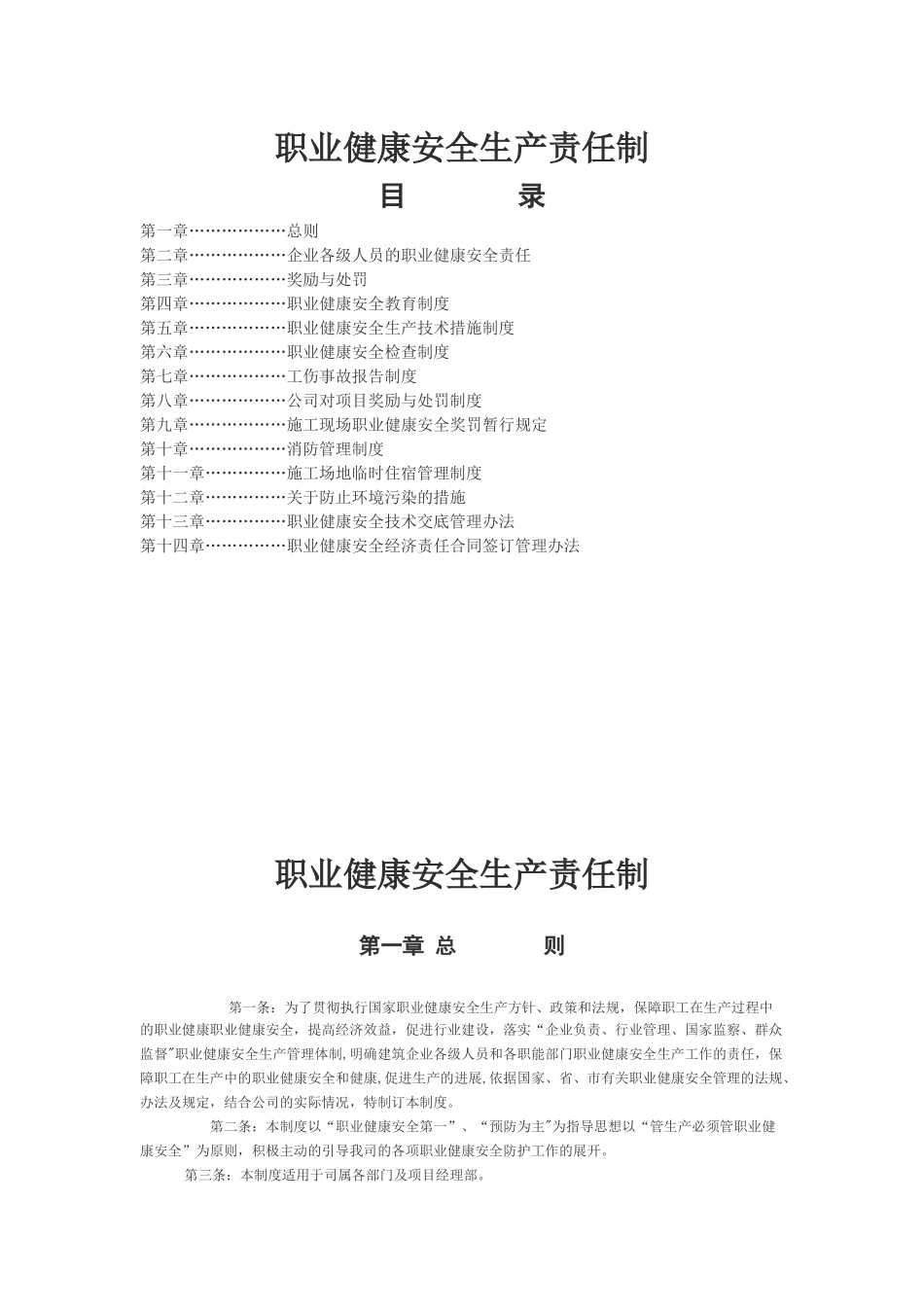 职业健康安全生产责任制_第1页
