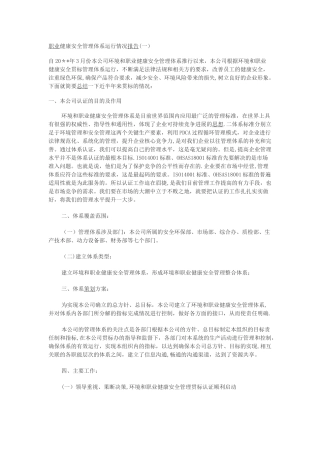 职业健康安全运行报告