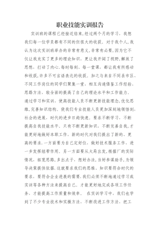 职业技能实训报告