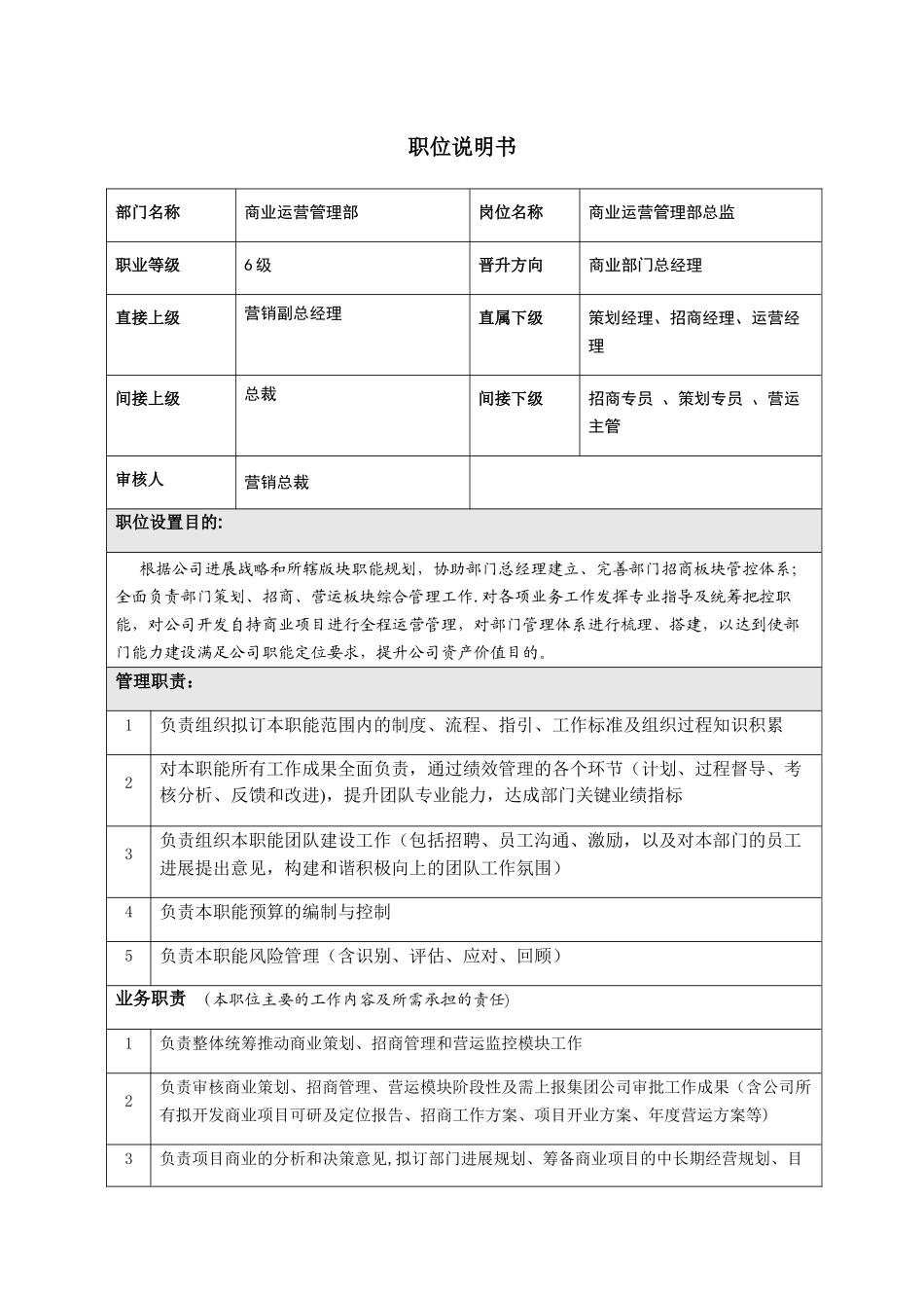 职位说明书(总监)_第1页
