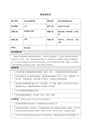 职位说明书(总监)