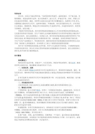 肉羊养殖方案