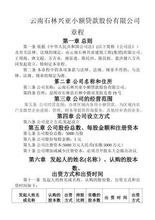 股份有限公司章程