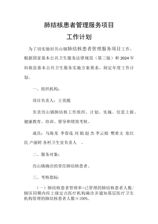 肺结核工作计划